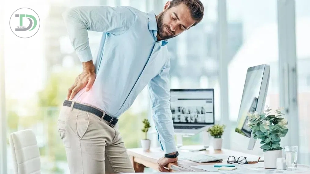 پشتی طبی صندلی برای دیسک کمر
