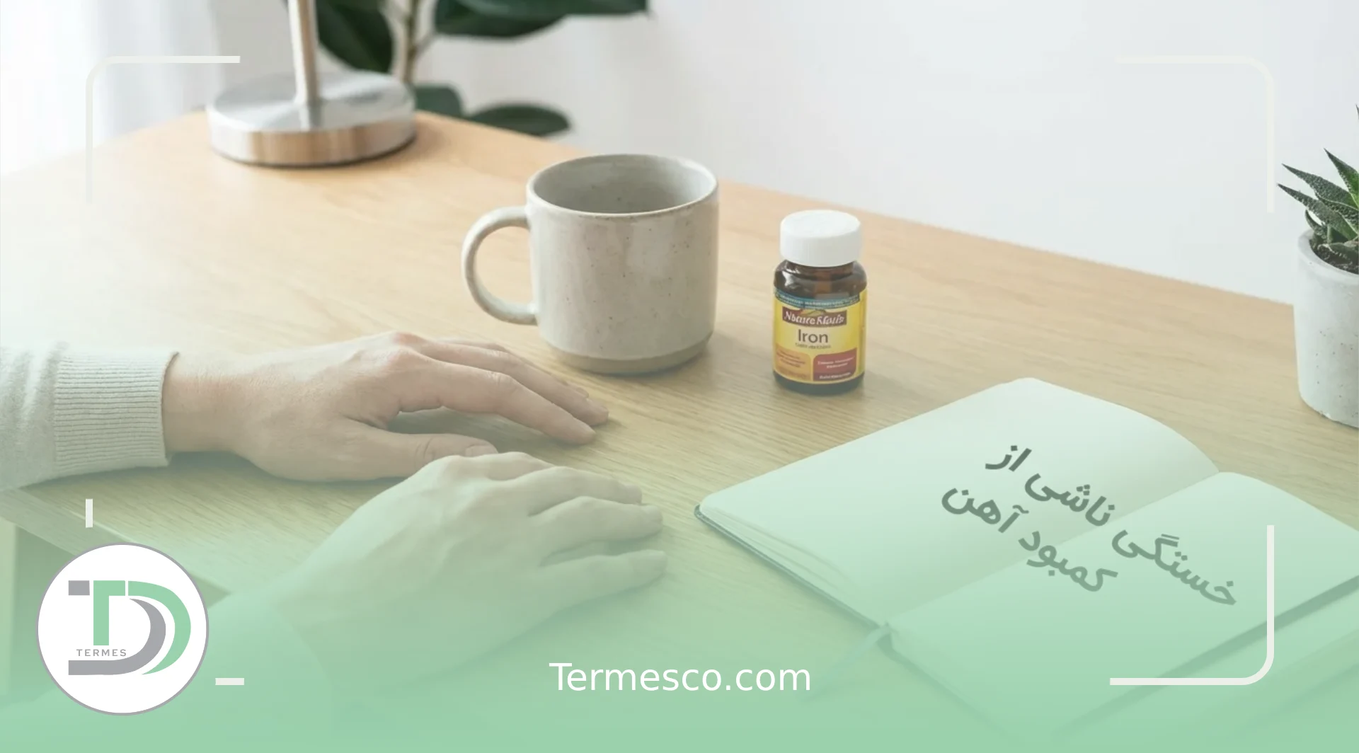 تاثیر کمبود آهن بر خستگی