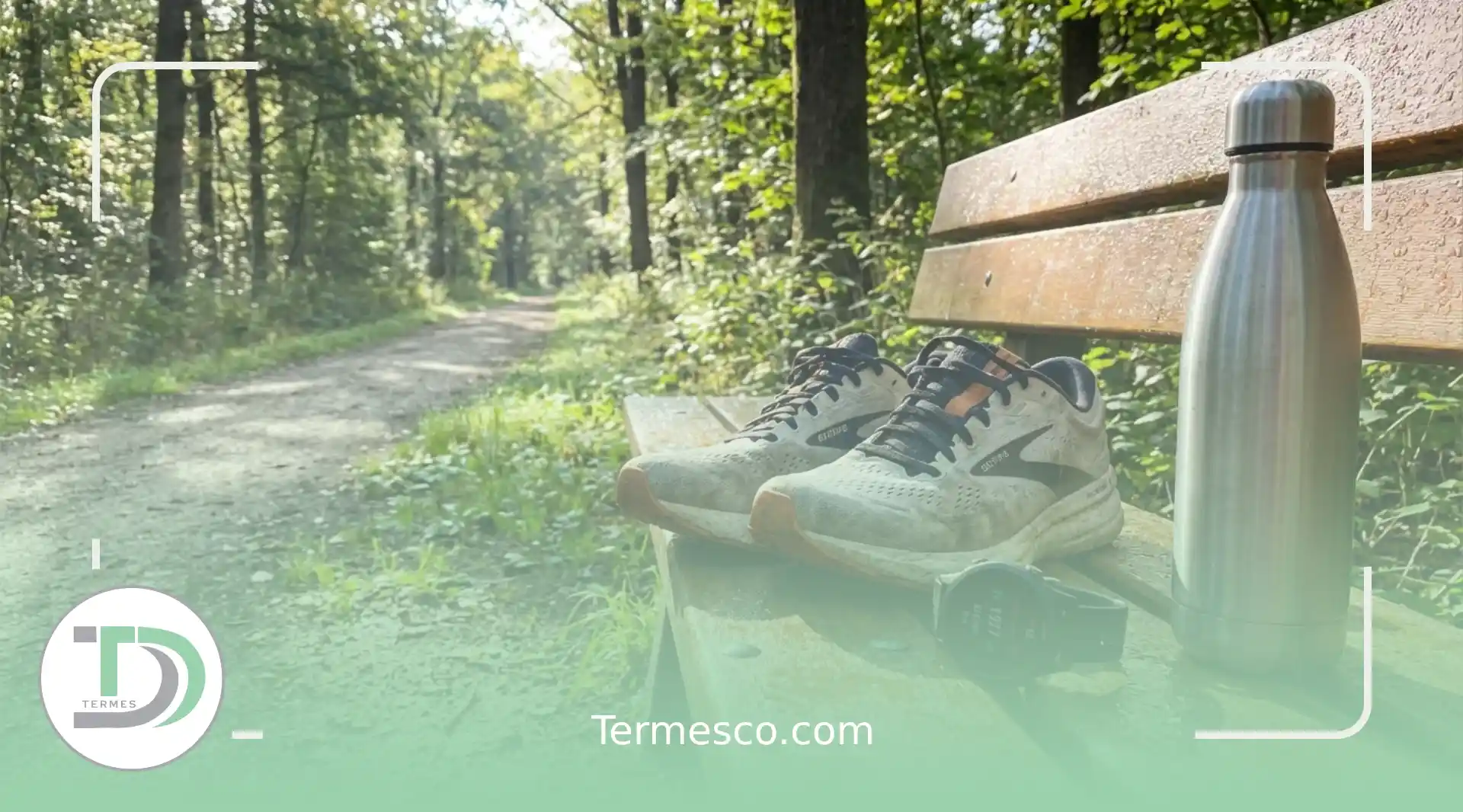 نقش تحرک روزانه در حفظ سلامت