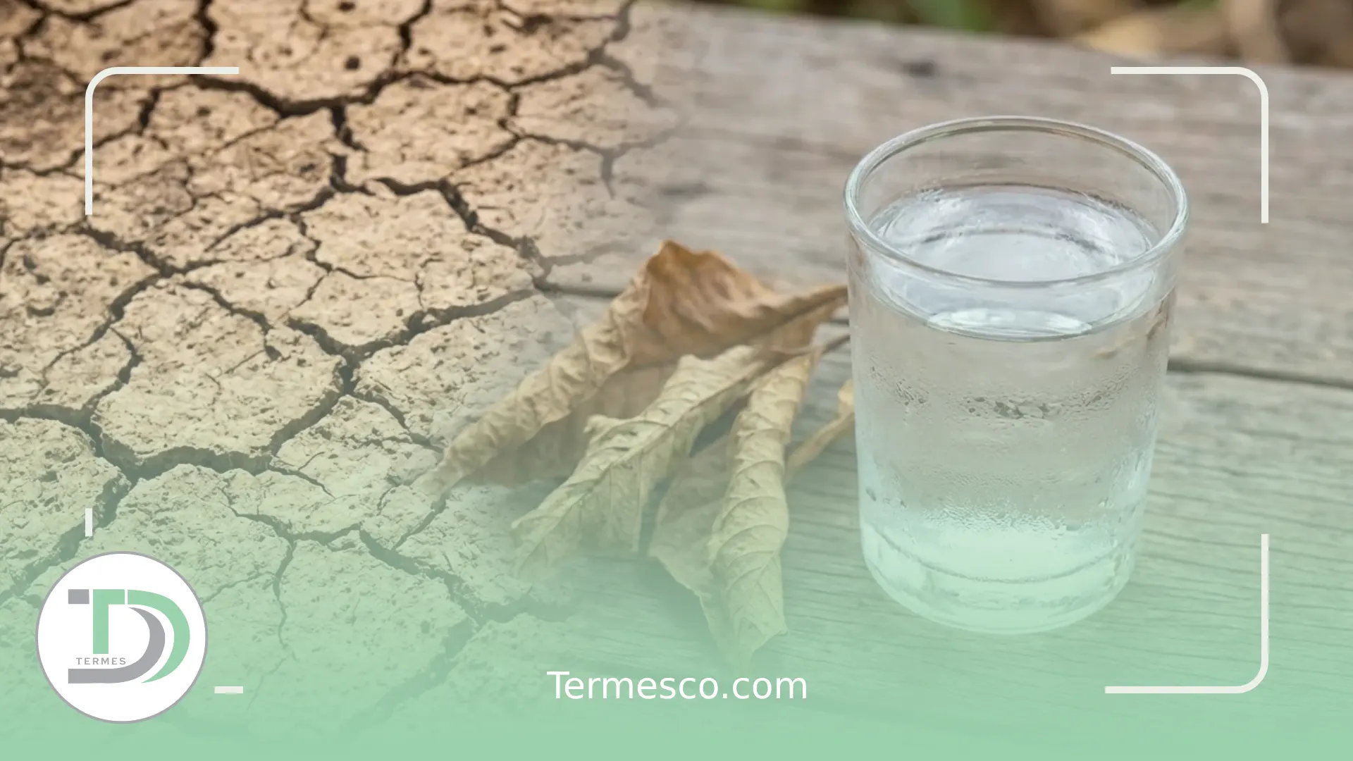 تاثیر کم آبی در سلامت بدن